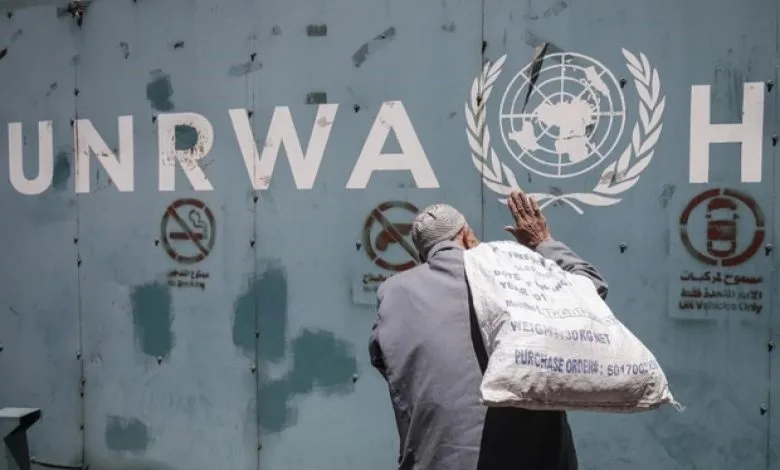 Algeria, 15 Countries Launch Joint Declaration to Boost UNRWA Funding