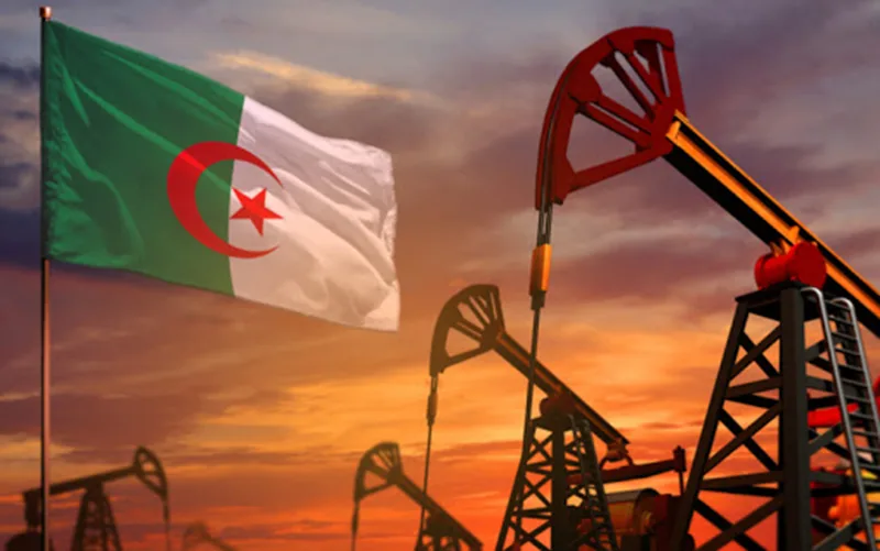 *Algeria Aims for 80% Local Transformation of Hydrocarbons and Minerals