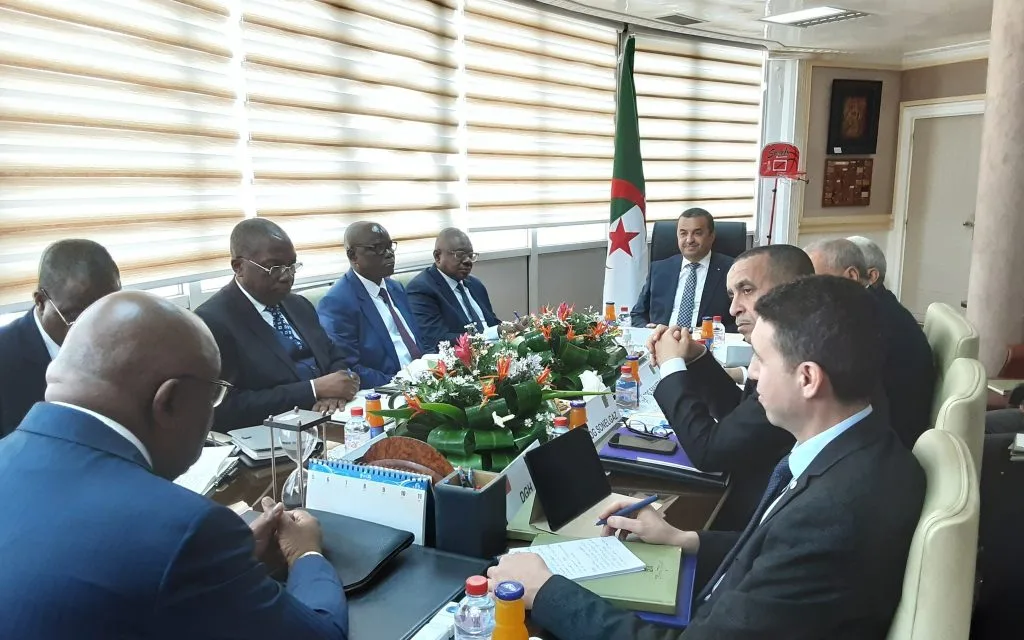 Algeria Ready to Support Electrification in Congo-Brazzaville