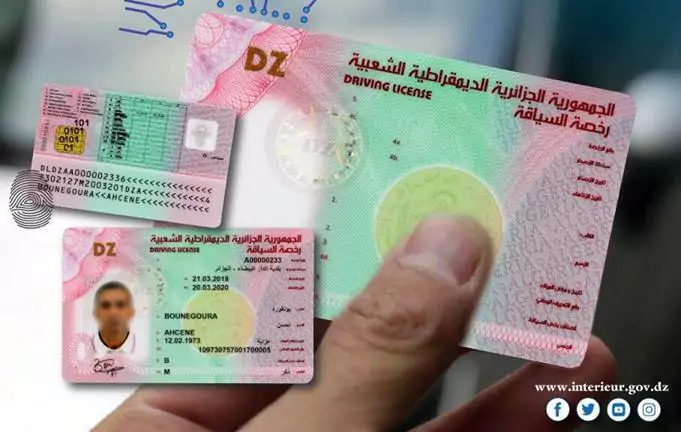 Algeria to Implement Points-based Driving License System by 2026