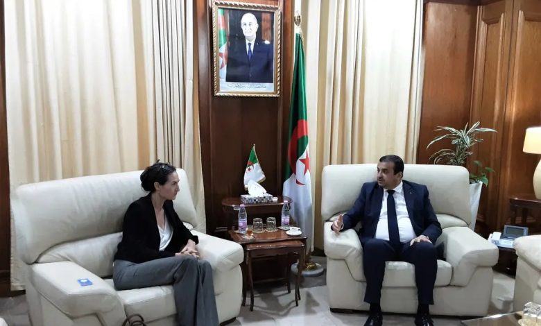 Minister of Energy Mohamed Arkab Meets with UNDP Resident Representative Natasha Van Rijn to Strengthen Cooperation in Renewable Energy