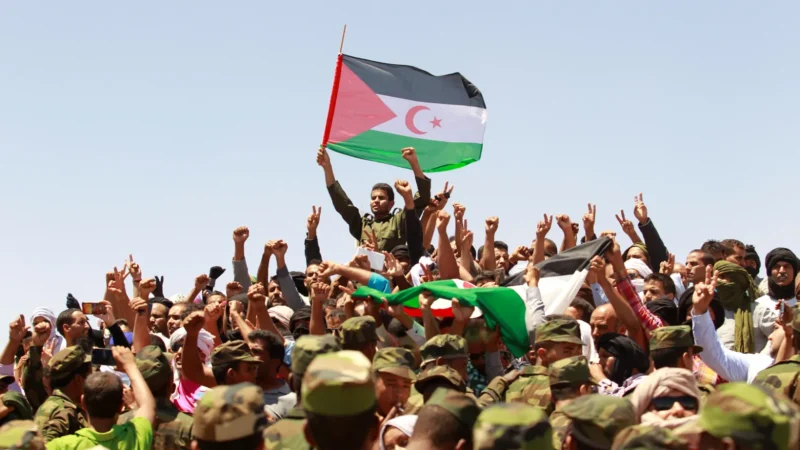 Polisario Front Rejects Any Initiative That Fails to Guarantee the Sahrawi People’s Right to Self-Determination