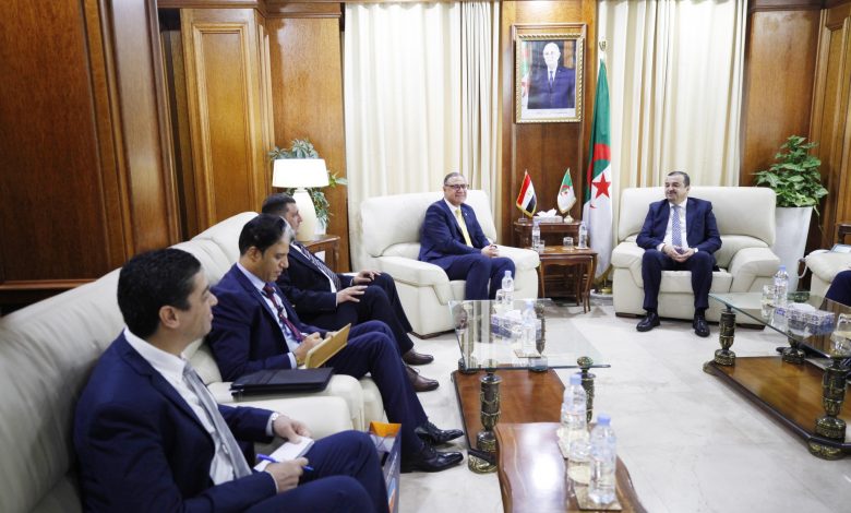 Algeria, Egypt Forge New Avenues of Partnership in Energy and Mining Sectors