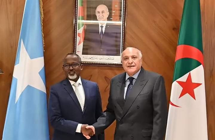 Algerian Foreign Minister Receives Somali President's Special Envoy to Strengthen Bilateral Ties and Discuss Security Council Membership