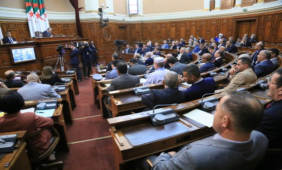 Algerian Senate Approves 2025 Finance Bill