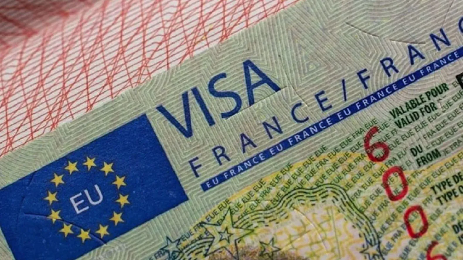 French Consulates Accused of Profiting from Rejected Algerian Visa Applications