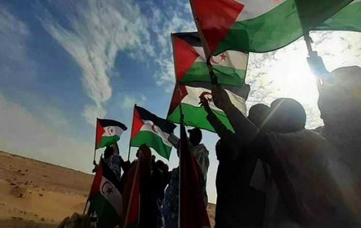 Moroccan Association for Human Rights Advocates Sahrawi Self-Determination