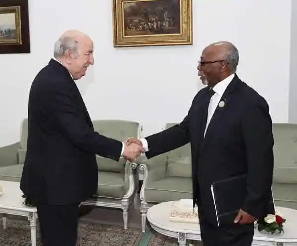 President Tebboune Meets with Cameroonian Foreign Minister Lejeune Mbella Mbella: "This Visit Aims to Strengthen Bilateral Relations and Cooperation"