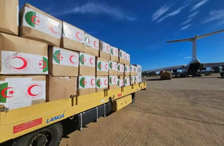 Ibtissem Hamlaoui Oversees Humanitarian Aid Shipment to Burkina Faso on Presidential Orders