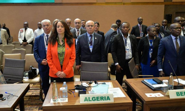 Selma Bakhta Mansouri Advocates for Agricultural Transformation at AU Summit Preparations