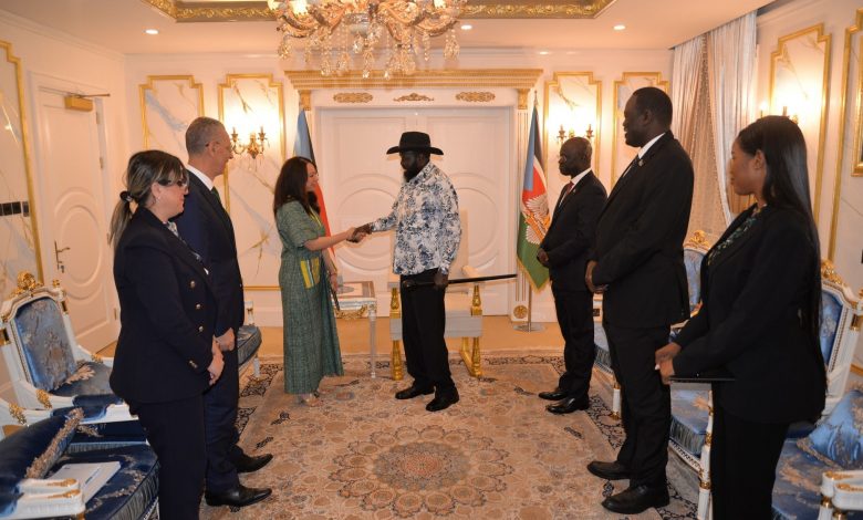 Algeria's Diplomatic Efforts Strengthened with High-Level Reception in South Sudan