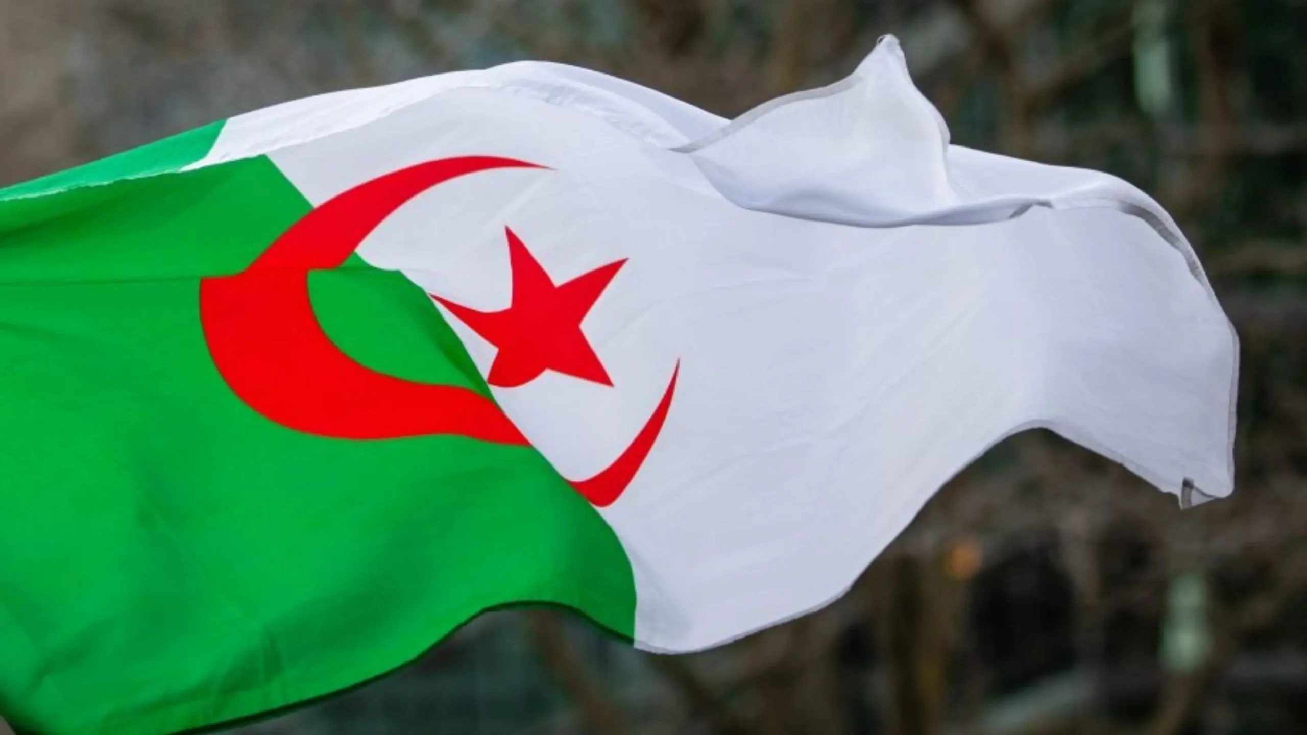 Algeria, a Fortress of Peace and Unity, Unshaken by Schemes and Betrayal:  As 2025 Dawns, Algerians Reaffirm Their Resilience and Loyalty to Their Nation