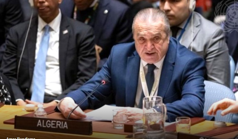 Algeria Takes the Helm of the UN Security Council: A Champion for Justice and Stability