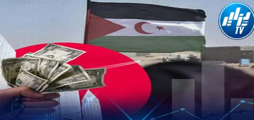 Dzair Tube Sources: Grave Risks and Heavy Repercussions Await Foreign Companies Investing in Morocco-Occupied Western Sahara