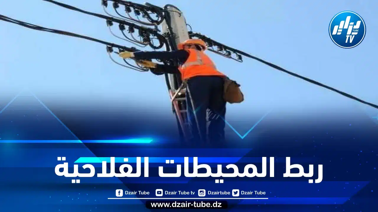 غرداية : ربط 2081 مستثمرة بالكهرباء الفلاحية